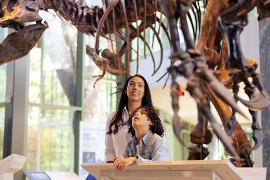 Witte Museum: Entry Ticket, at Witte Museum