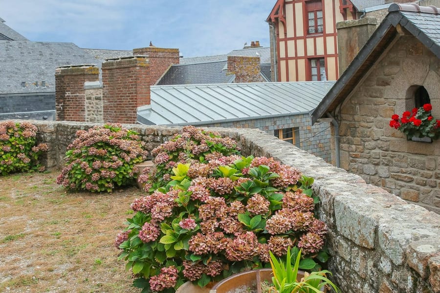 Mont Saint-Michel: Entry Ticket and Guided Tour + Transport from Paris, Le Mont Saint Michel