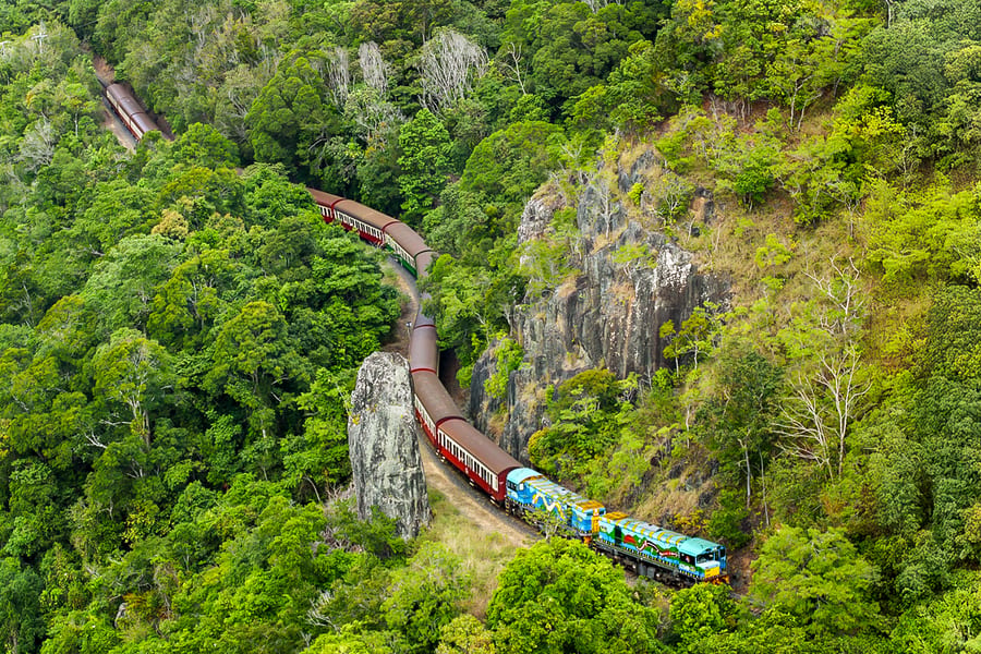 From Cairns: Scenic Train, Skyrail, & Hartley's Crocodile Adventures, Cairns