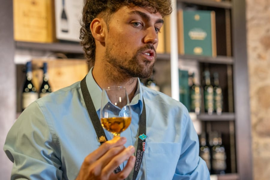 Porto City Tour Half-Day: Guided Visit with Wine Cellar and Tastings, at Porto City Tours