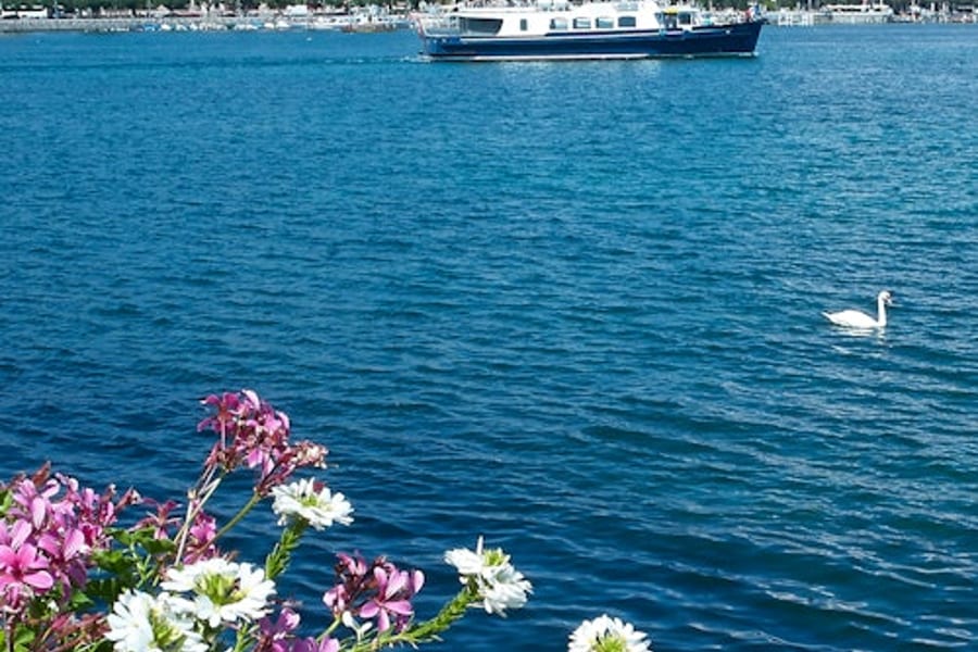 Geneva Boat Tour, Geneva