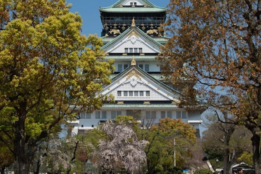 Osaka Castle: Guided Walking Tour