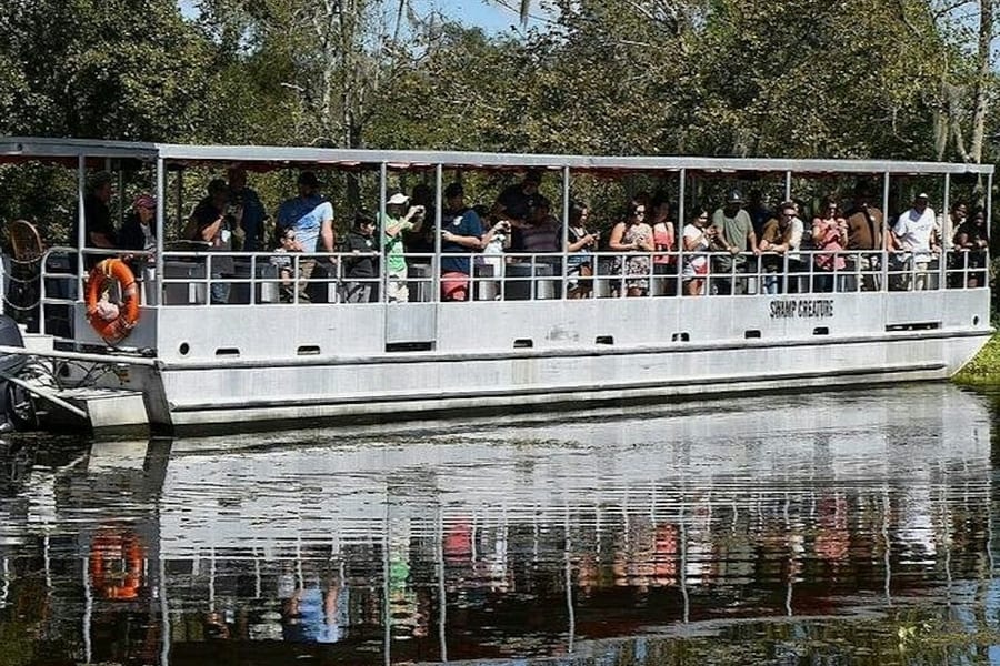New Orleans: Guided Pontoon Boat Swamp Tour, New Orleans