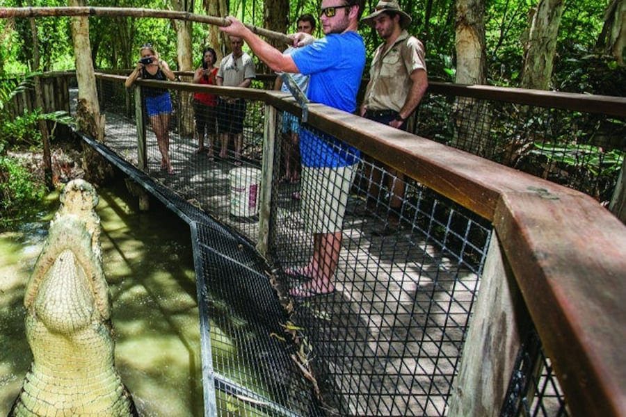 Hartley's Crocodile Adventures: Entry Ticket, Wangetti