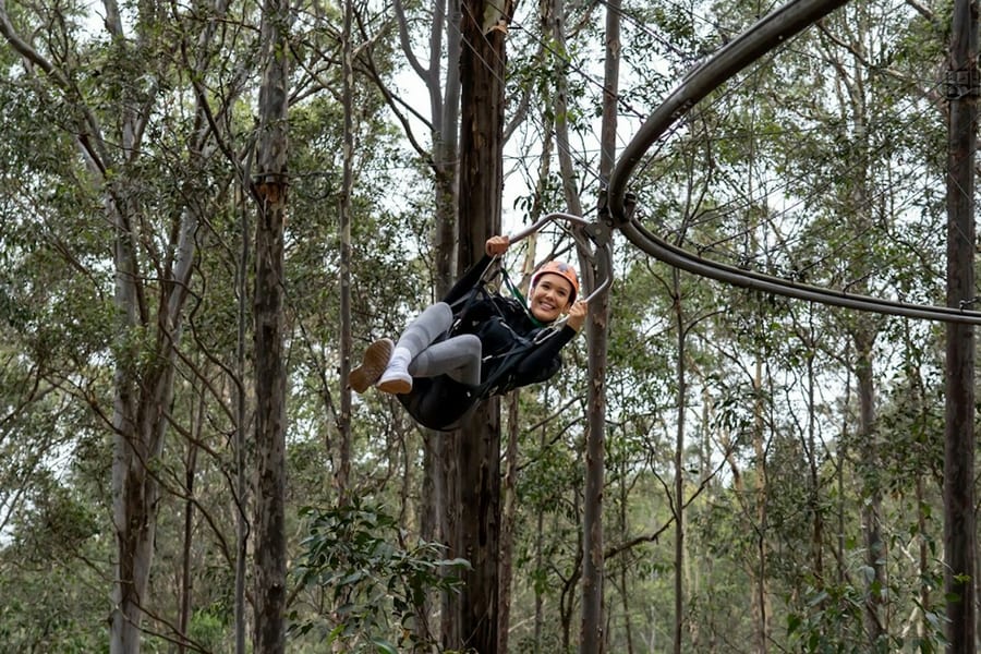 Treetops Adventure Central Coast: Zipcoaster Ride, Wyong Creek