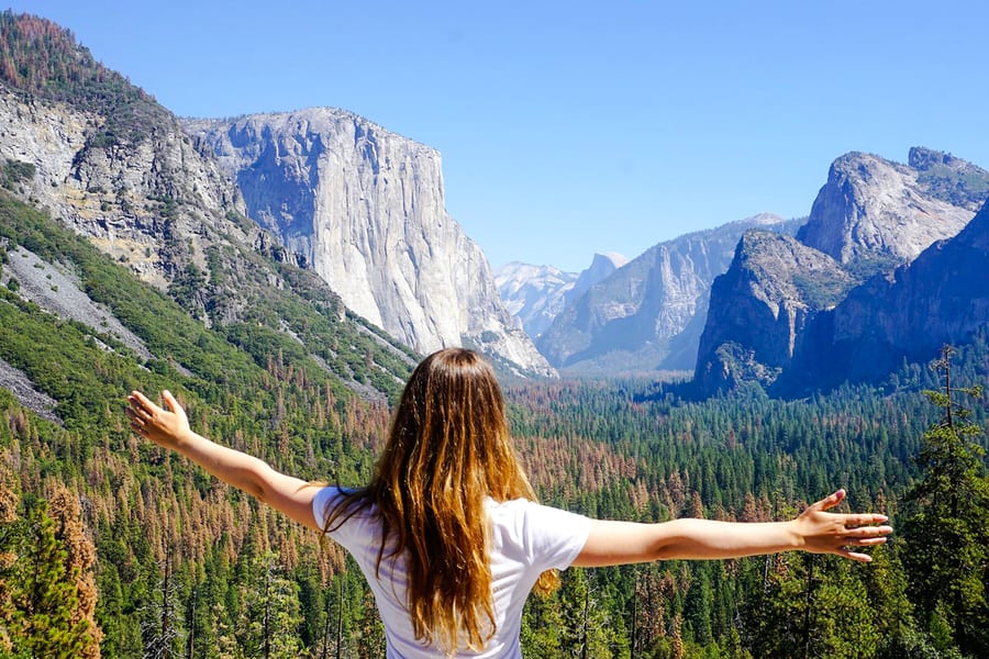 From San Francisco: Yosemite One-Way Tour, San Francisco