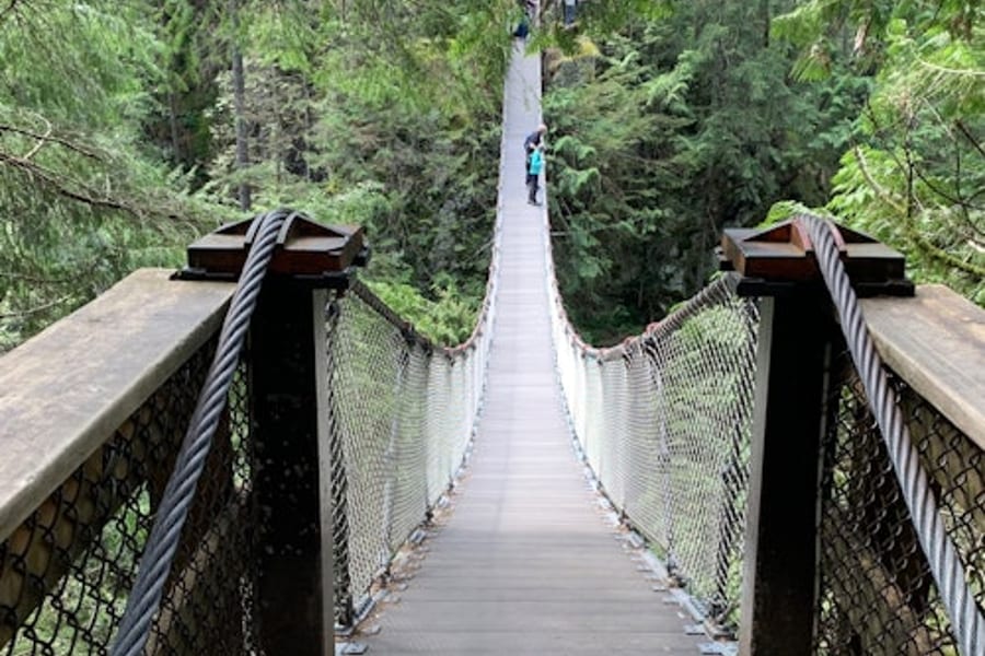 Vancouver: Caminata Guiada por el Bosque Lluvioso con Cascadas y Puente Colgante + Transporte, at Vancouver Outdoor Activities, Vancouver
