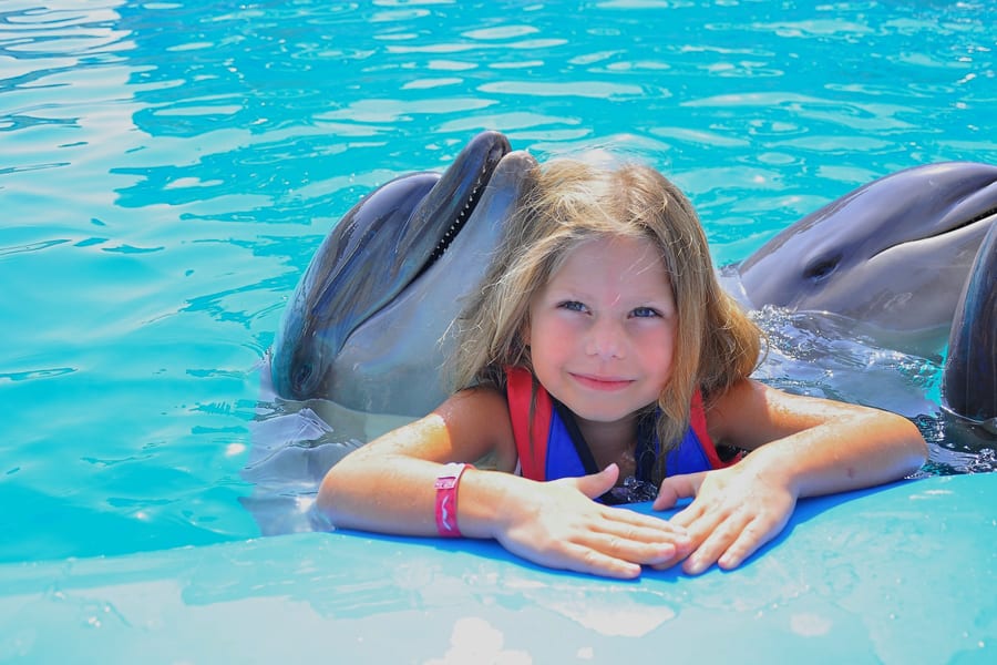 Hurghada Dolphin World Show & Meet-the-Dolphin Photo Experience with Transfers, at Hurghada Dolphin World, Hurghada