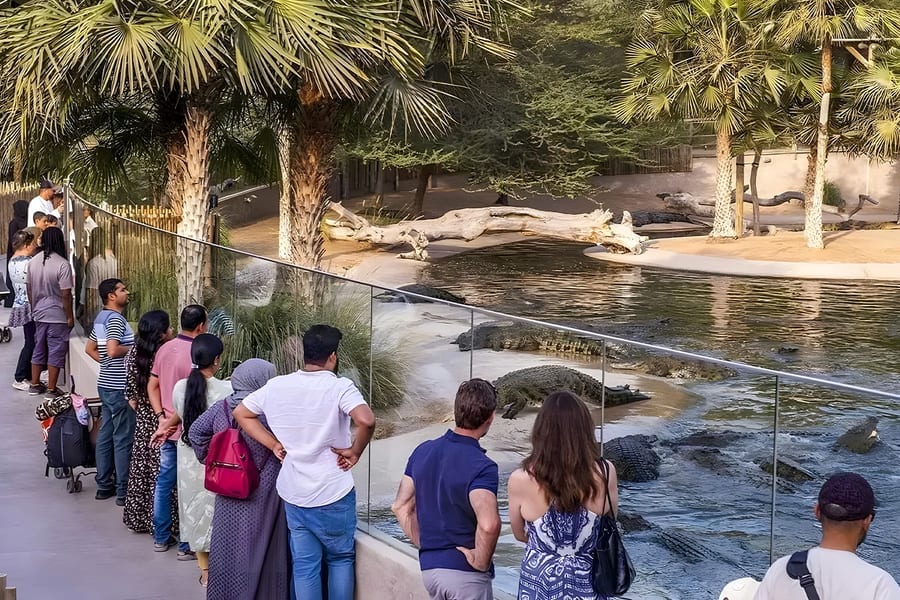 Dubai Crocodile Park Tickets, at Dubai Crocodile Park