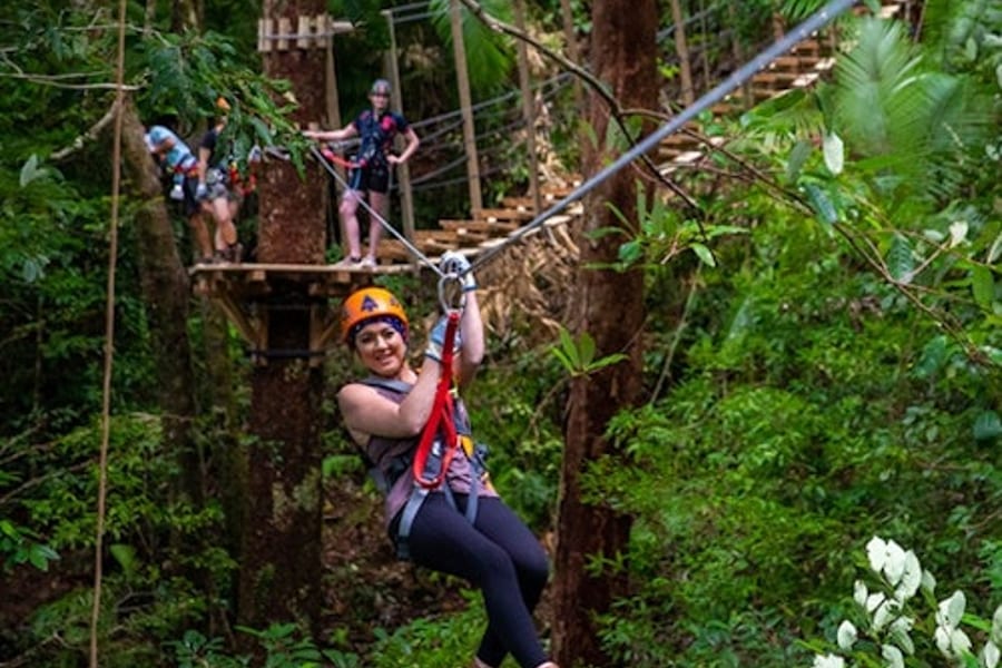 ویسٹرن سڈنی: ٹری ٹاپس ایڈونچر, at Treetops Adventure, Cape Tribulation