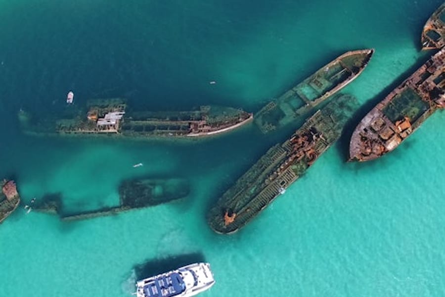 Tangalooma-Wracks & Delfin-Kreuzfahrt ab Brisbane, Moreton Island