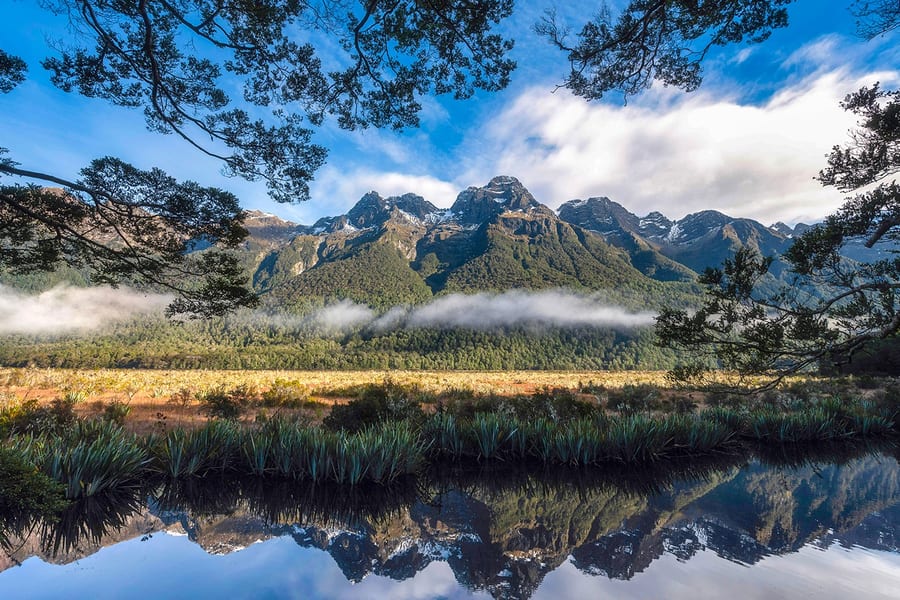 From Queenstown: Milford Sound Scenic Flyover & Cruise, Queenstown