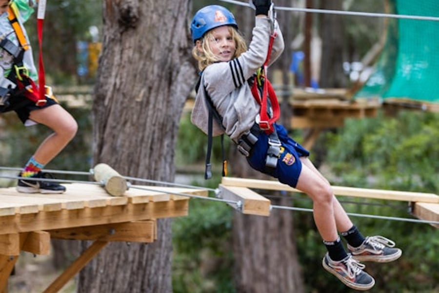 트리탑 어드벤처 뉴캐슬: 주니어 트리 로프 코스, at Treetops Adventure Coffs Harbour, Coffs Harbour