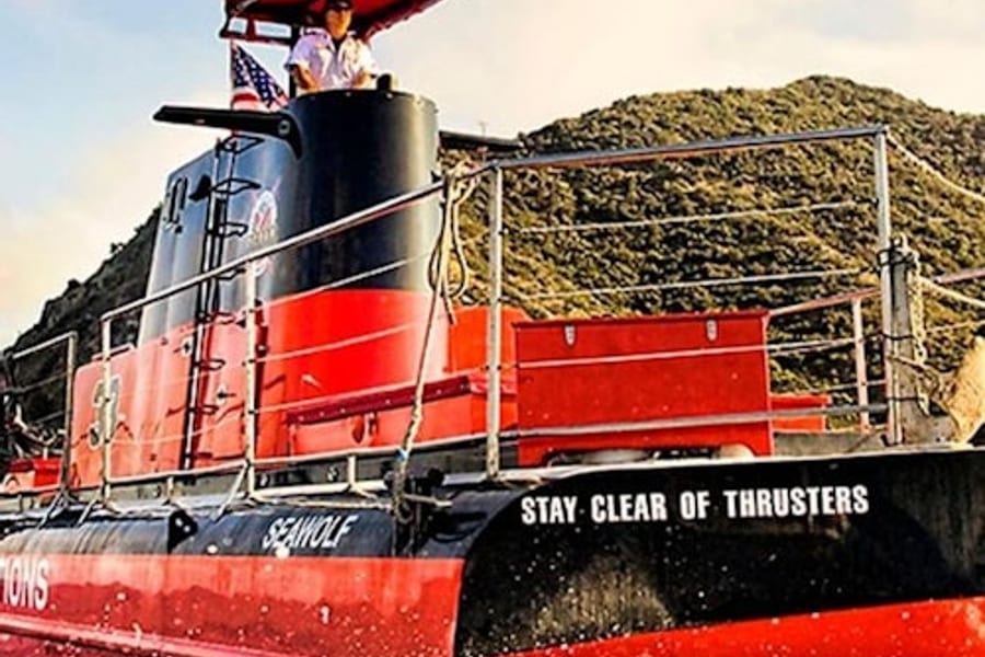 Katalina-saari: Päiväretki merenalaisella sukellusretkellä, at Catalina Island Day Trips, Los Angeles