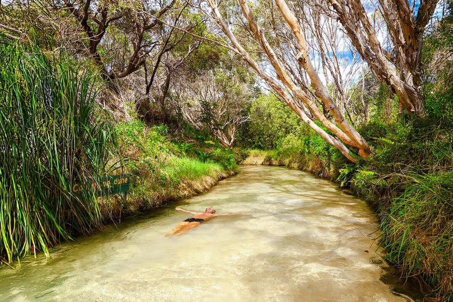 從彩虹海灘：K'gari（弗雷澤島）1天經典之旅, Brisbane