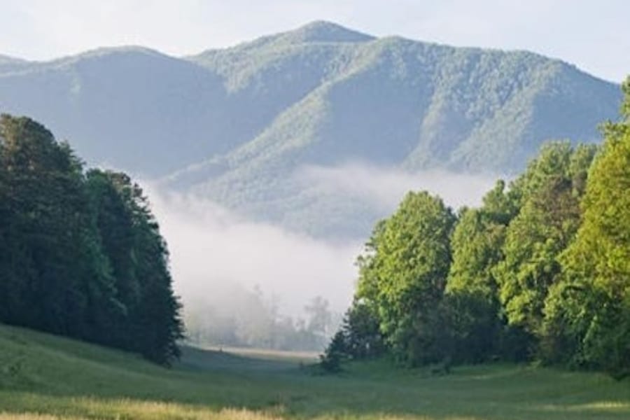 Sights of the Smokies: Full Day Tour, at Smoky Mountains Day Trips from Pigeon Forge