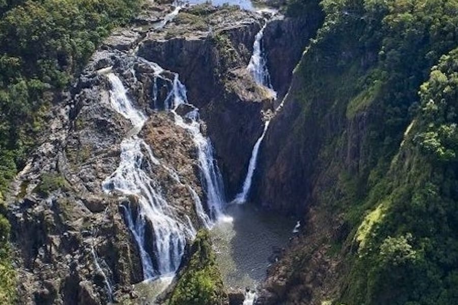 Barron Falls & Cattana Wetlands: Tour + Lunch + Cableway or Scenic Railway Ride, at Skyrail Rainforest Cableway, Cairns