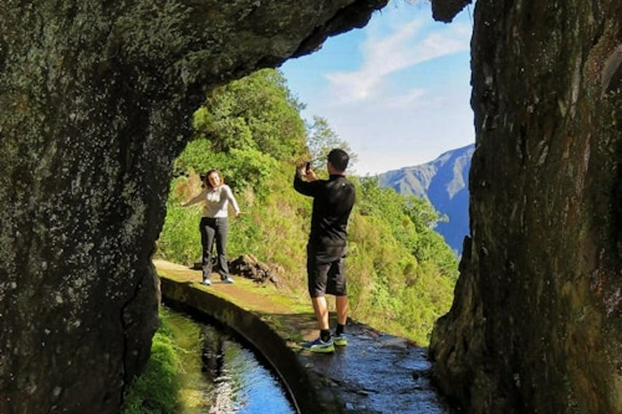 Enchanted Terraces: Guided Madeira Excursion