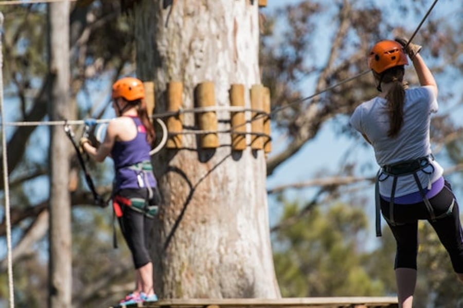 Treetops Adventure: Nowra Park, at Treetops Adventure Nowra Park