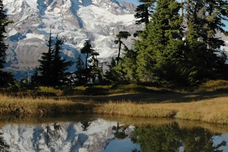 Mt. Rainier: All-Inclusive Small-Group Day Trip from Seattle