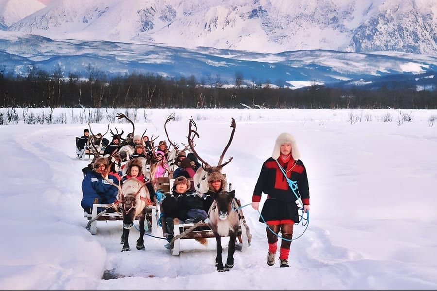 Reindeer Sledding & Sami Culture Guided Tour with Hot Drinks & Meal, Tromso