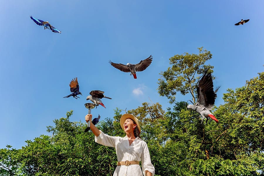 曼達伊野生動物目的地通行證, Singapore