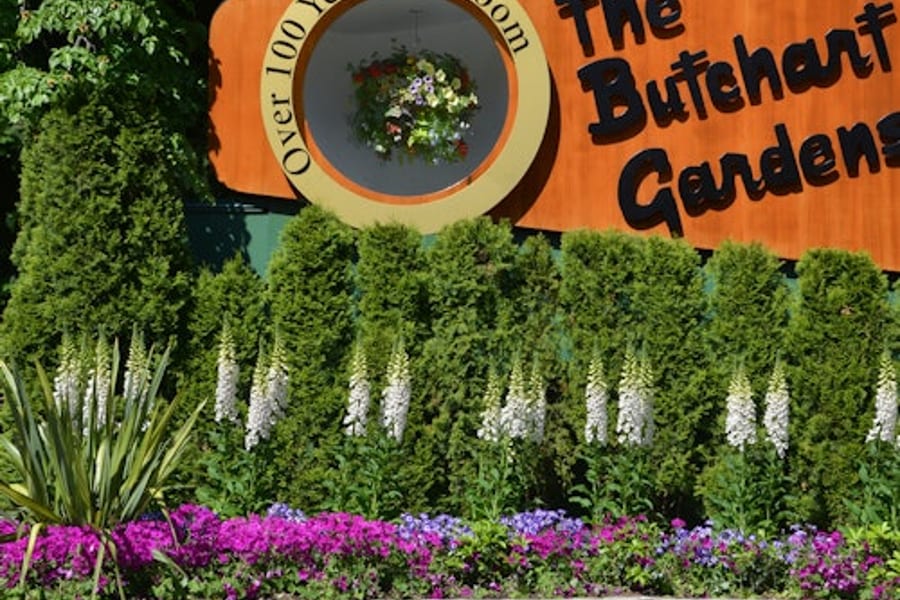 Edestakainen kuljetus Victoriasta Butchart Gardensiin, Brentwood Bay