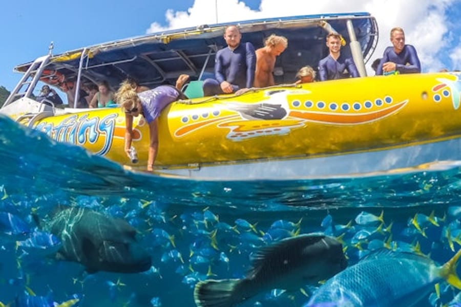 惠辰代斯海洋漂流:浮潛、健行及白天堂海灘, at Ocean Rafting, Airlie Beach