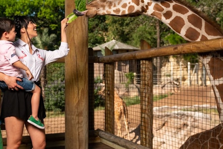 San Antonio Zoo Flexible Any-Day Entry Ticket, San Antonio