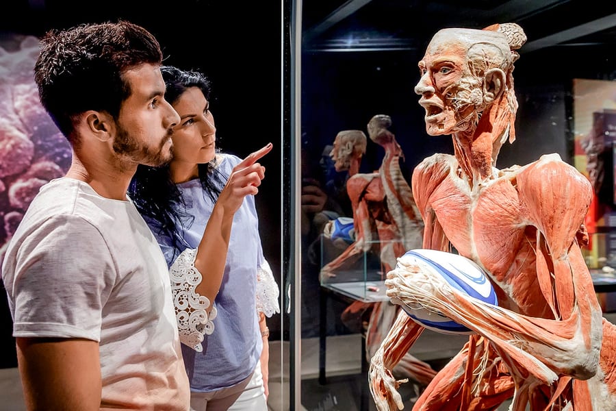 Berlin BODY WORLDS Museum Tickets, at People Museum - The first museum of BODY WORLDS