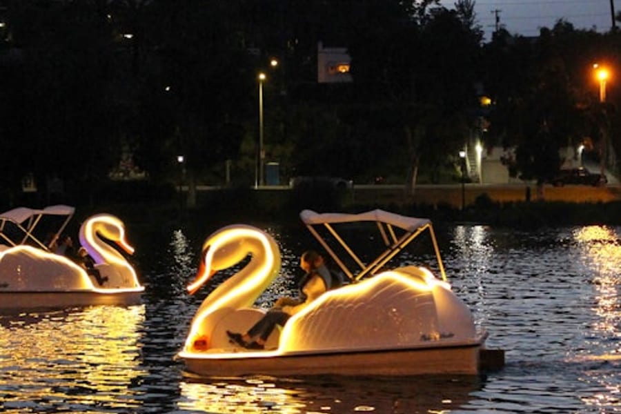 Long Beach: Swan Boat Rental at Rainbow Lagoon, at Rainbow Lagoon
