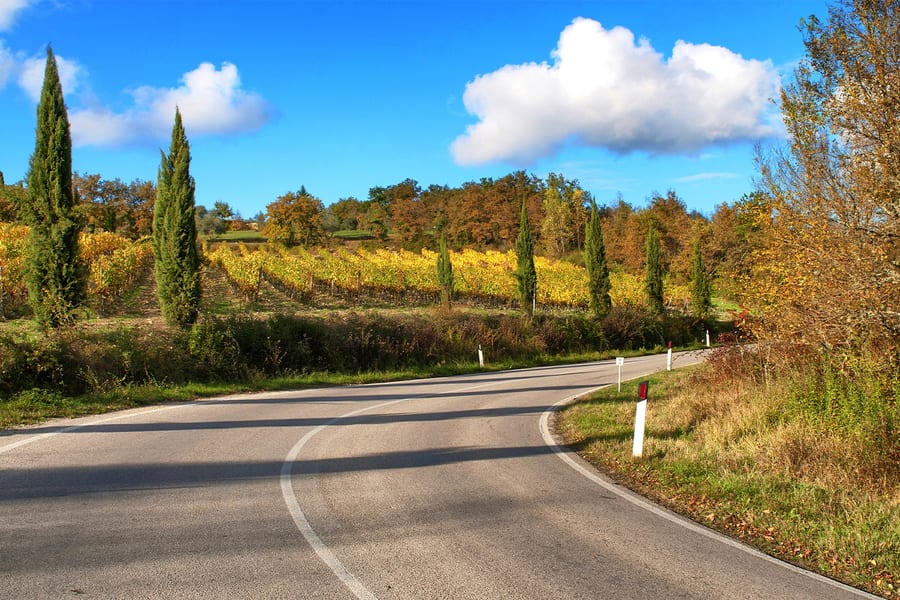 From Florence: Siena and Chianti Day Trip with Dinner & Regional Pairings, at Florence Coach Station, Villa Costanza (Tram T1)