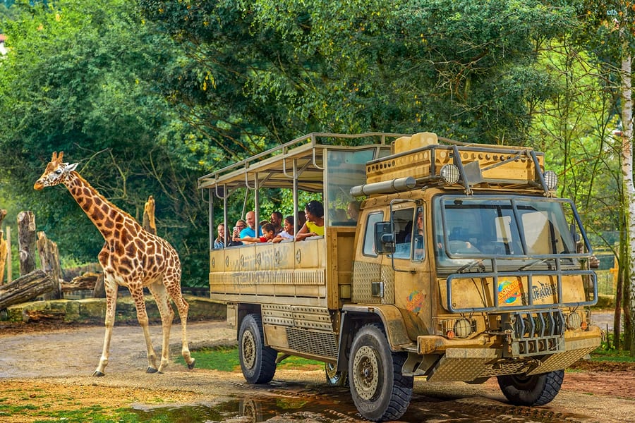 Bilhetes de Entrada para Chessington World of Adventure, at Chessington World of Adventures Resort, London