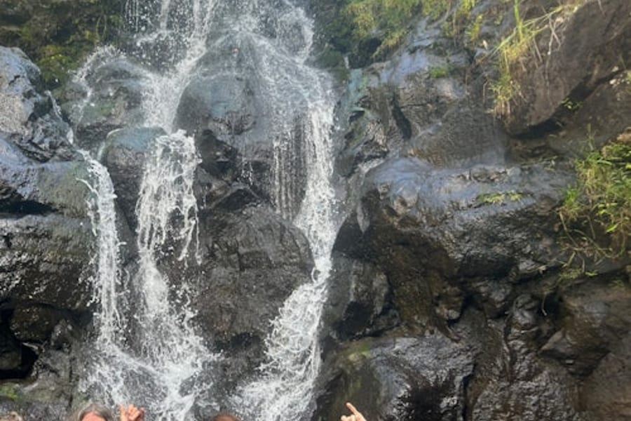 Waimea Valley: Guided Waterfall Hike & Swim Tour from Waikiki
