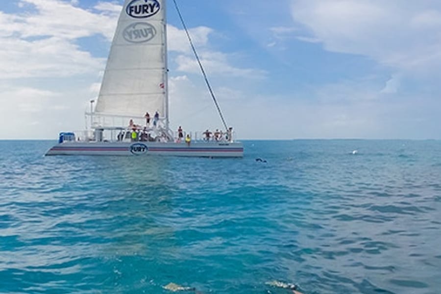 ਕੀ ਵੈਸਟ: ਮੋਰਿੰਗ ਸਨੋੱਕਲ ਟੂਰ, Key West