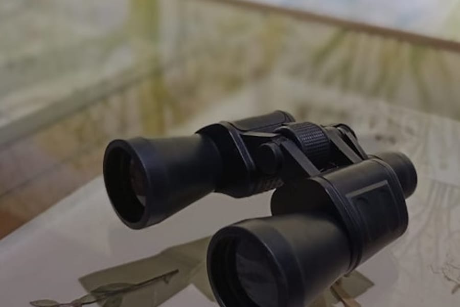 RADICI. Piccolo Museo della Natura: Entry Ticket + Self-Guided Tour, Palermo