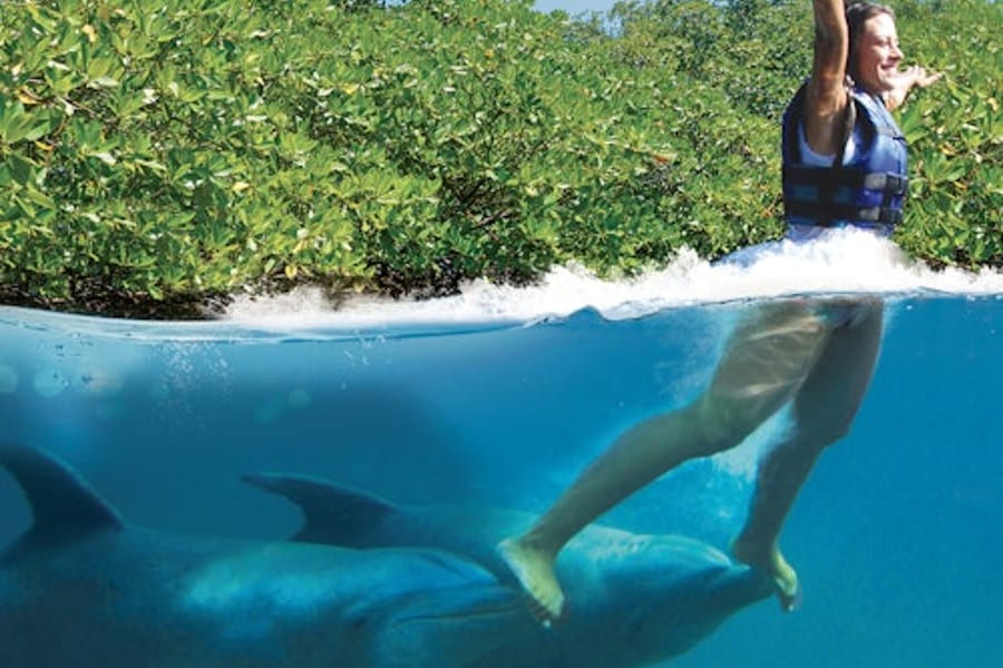 Delphinus Xcaret: Entry Ticket + Transfers + Swim with Dolphins, at Xcaret