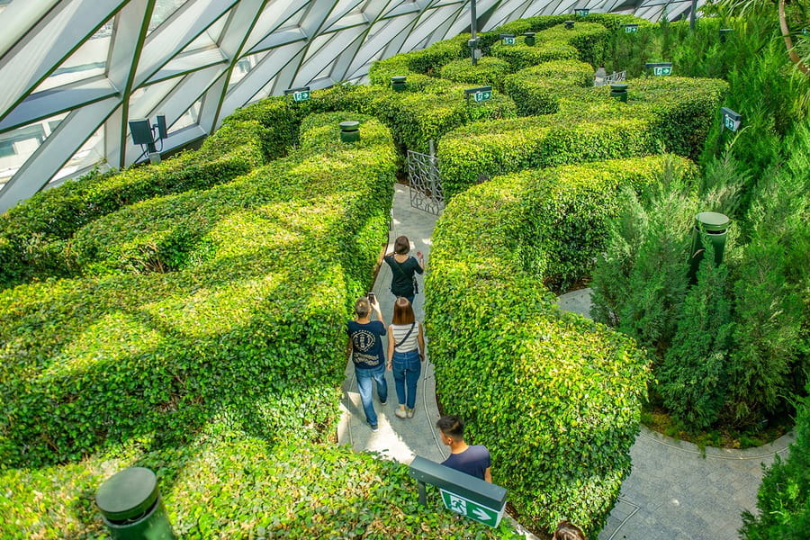 樹木園藝校園票(網絡), at Jewel Changi Airport, Singapore