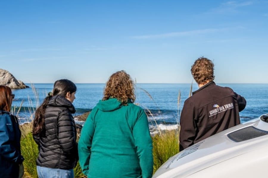 Kaikoura: Visita guiada en grup reduït des de Christchurch + Dinar, Christchurch