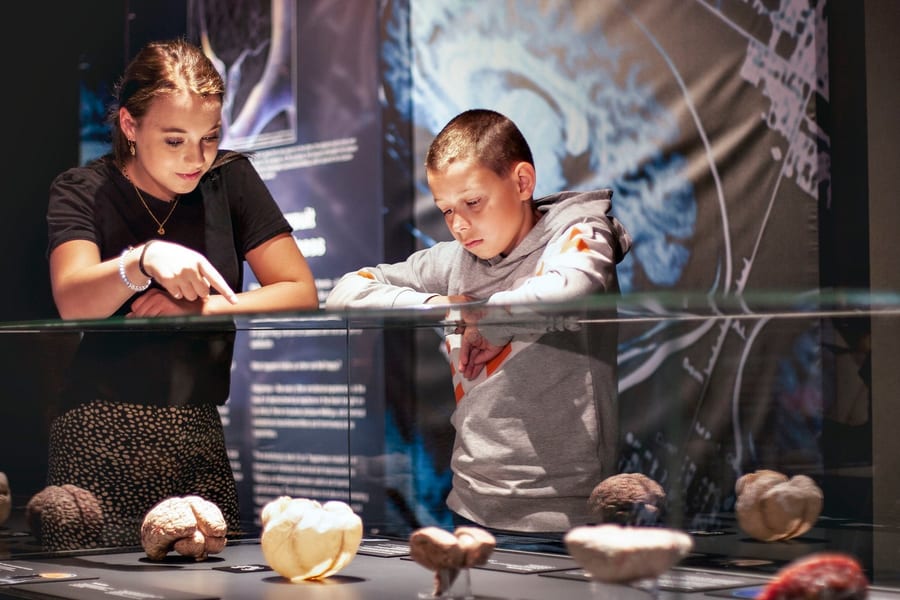 Body Worlds Amsterdam: The Happiness Project Skip-the-Line Tickets, at Damrak 66, 1012 LM Amsterdam, Netherlands