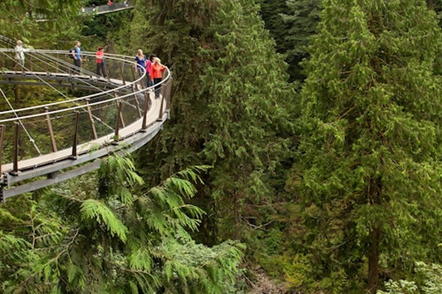 Vancouver: Guided Tour + Capilano Suspension Bridge Park Visit + Lunch