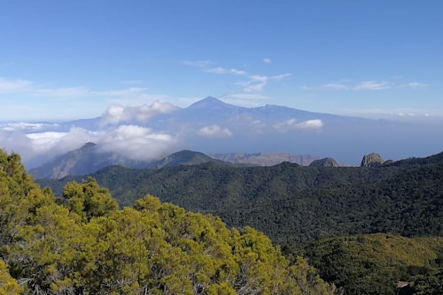 ਟੇਨਿਰਿਫੇ ਤੋਂ ਲਾ ਗੋਮੇਰਾ ਦਿਨ ਦੀ ਯਾਤਰਾ, at La Gomera Day Trips from Tenerife, San Sebastian De La Gomera