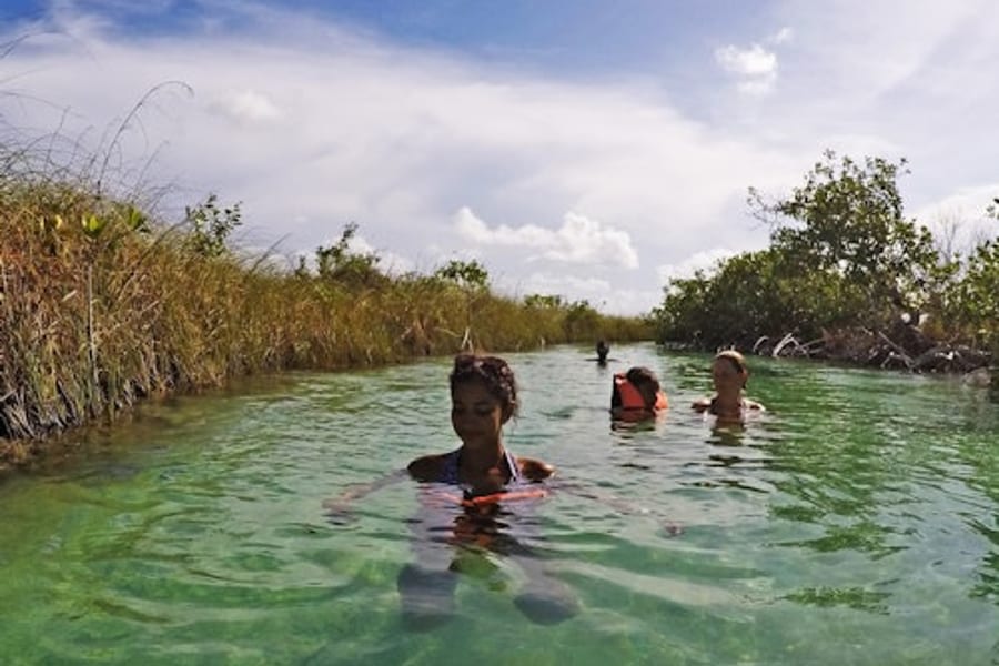 Sian Ka'an Biosphere Reserve & Muyil Ruins: Guided Tour + Boat Ride + Transfer