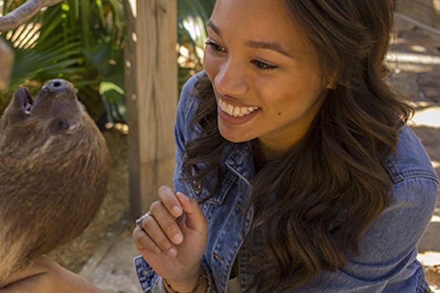 Wild Florida Gator Park Admission, Kenansville
