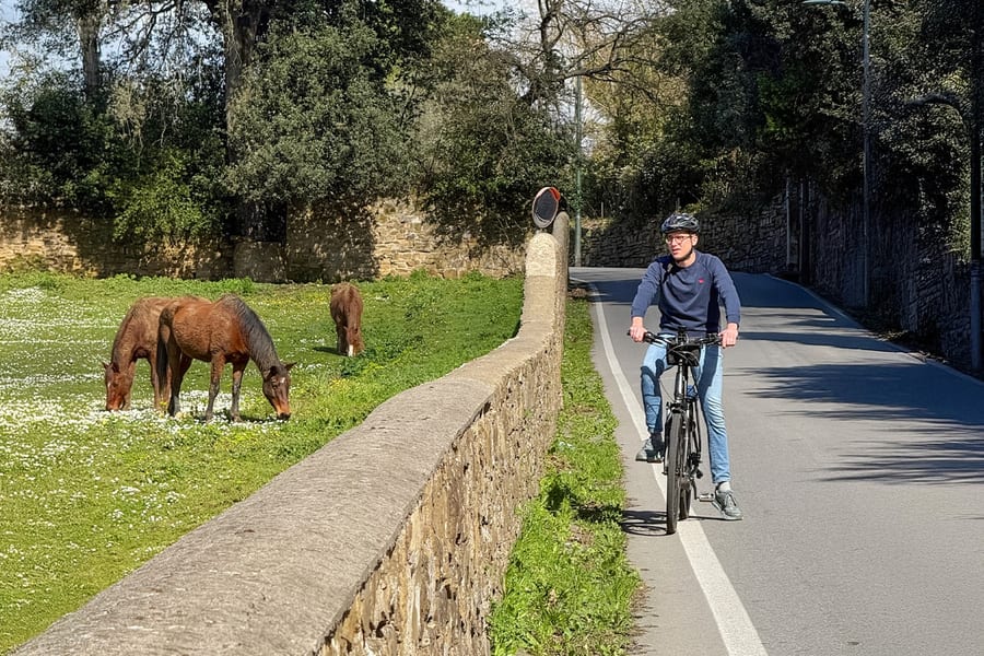 Mula sa Florence: E-Bike Tour sa pamamagitan ng Tuscany at Chianti kasama ang Tanghalian, Florence