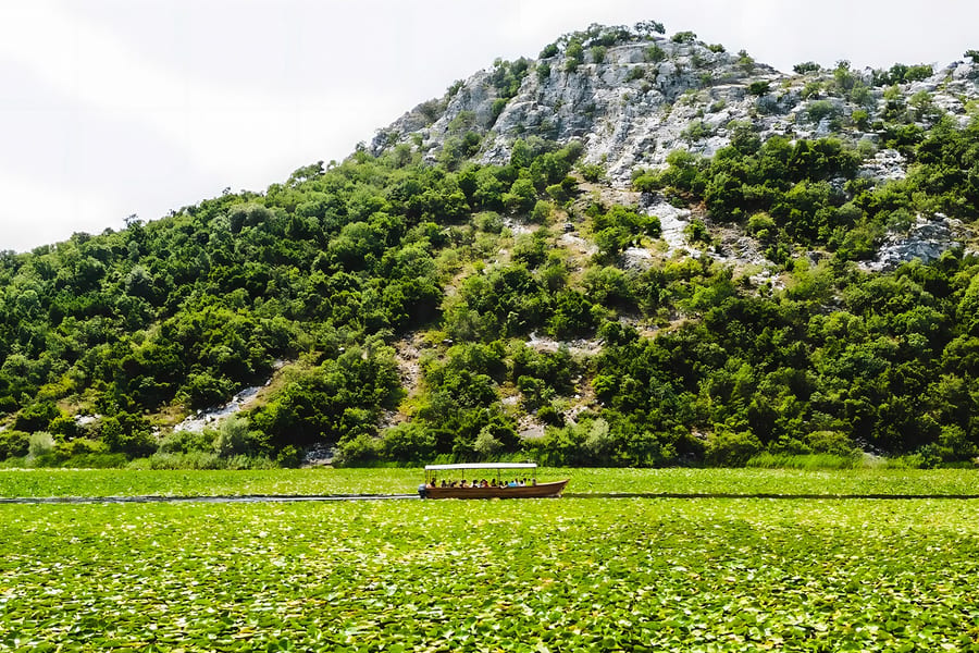 From Virpazar: Lake Skadar Sightseeing Boat Tour & Kom Monastery with Drinks
, Kotor