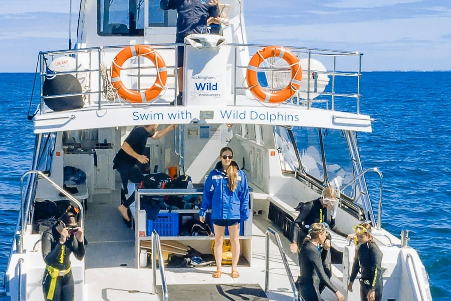 Perth: Guided Cruise + Swim with Wild Dolphins + Lunch, at Perth Cruises