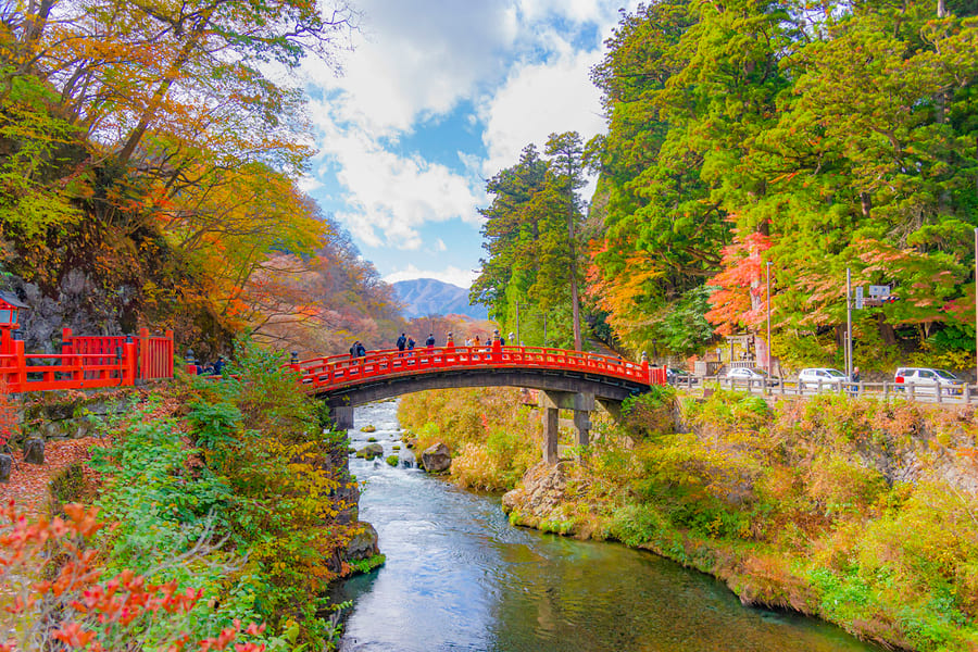 Nikko World Heritage Site Day Tour: Tōshōgū Shrine, Kegon Falls, Lake Chūzenji, & More, Tokyo