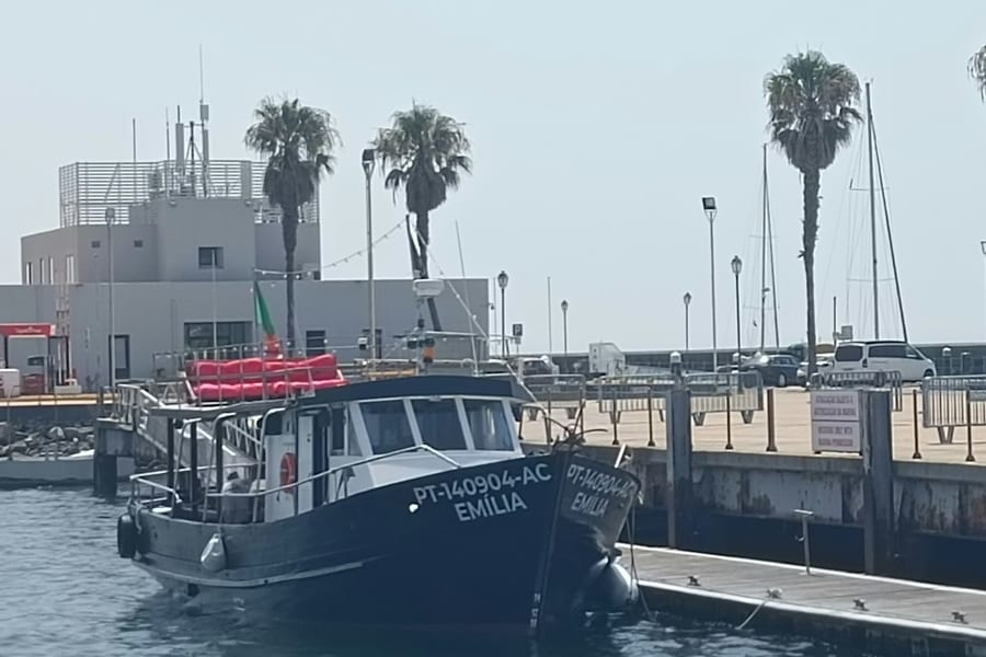 Cascais: Guided Coastal Cruise + Drinks, at Lisbon Cruises, Lisbon