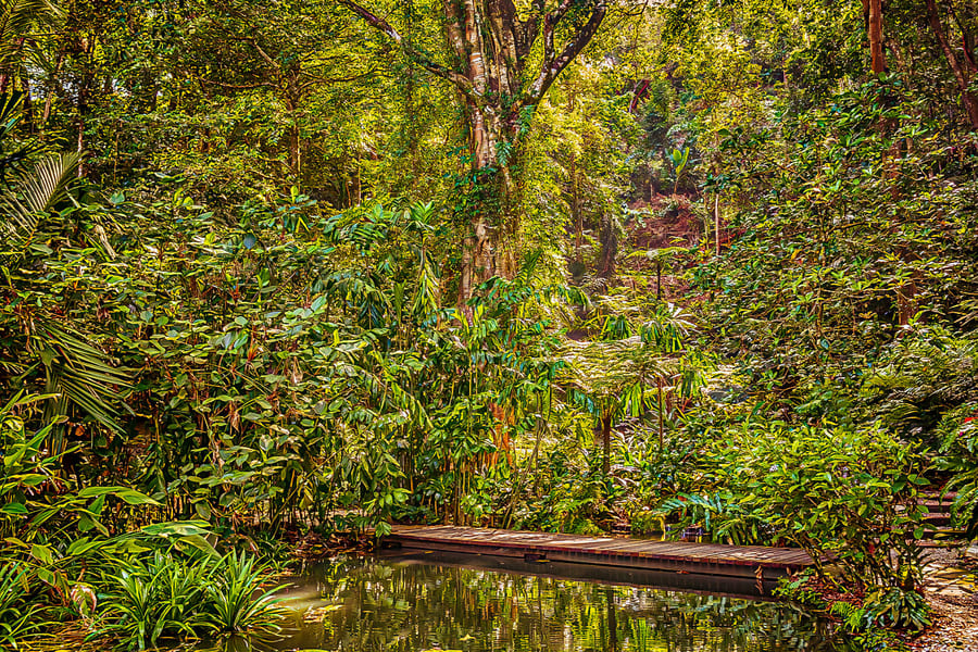Tickets to Tropical Spice Garden Penang, at Tropical Spice Garden